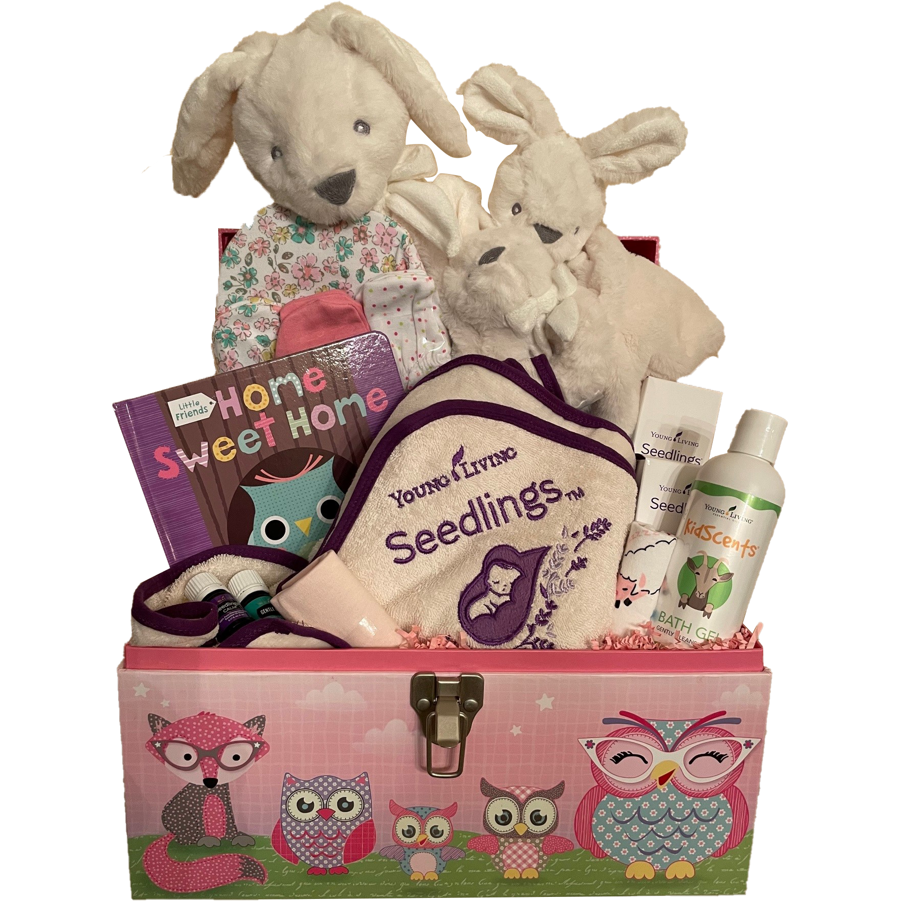 Custom Baby Girl Gift Chest - DJW Custom Baskets & Beyond